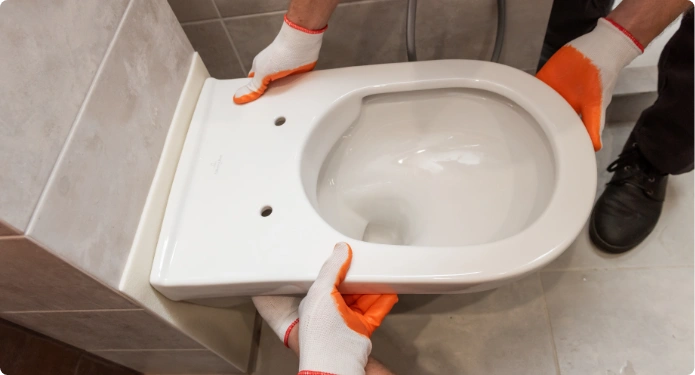 Reemplazo de sanitario